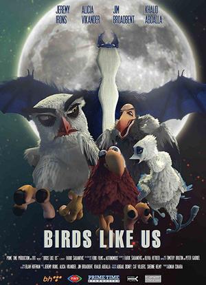 鸟儿们的奇幻冒险海报封面图