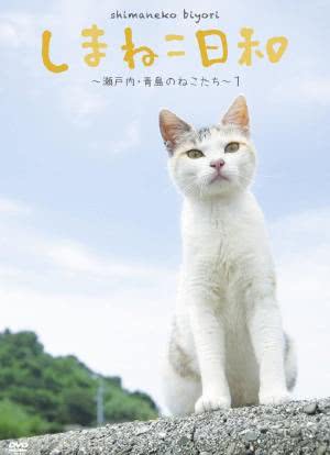 俺是猫，欢迎来俺家玩海报封面图