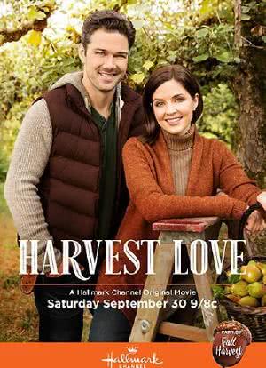 Harvest Love海报封面图