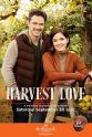 恰拉·赞尼 Harvest Love