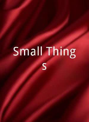 Small Things海报封面图
