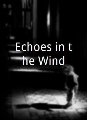 Echoes in the Wind海报封面图