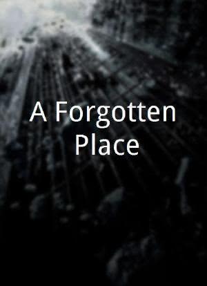 A Forgotten Place海报封面图