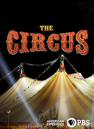 The Circus海报封面图