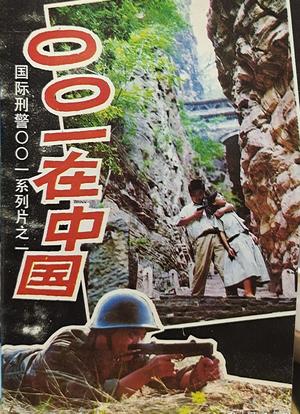 001在中国海报封面图