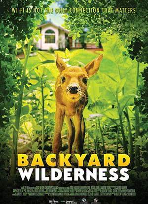 后院野生动物海报封面图