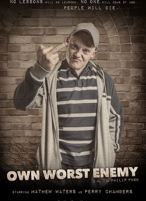 Own Worst Enemy海报封面图