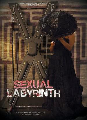 性迷宫海报封面图