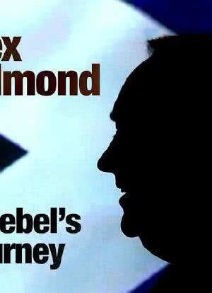 Alex Salmond: A Rebel's Journey海报封面图