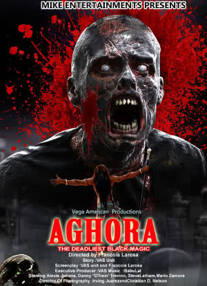 Aghora: The Deadliest Blackmagic海报封面图