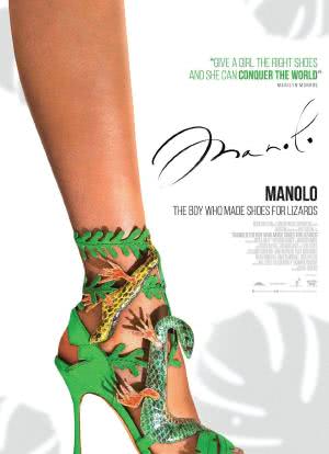 马洛诺：为蜥蜴制鞋的男孩海报封面图