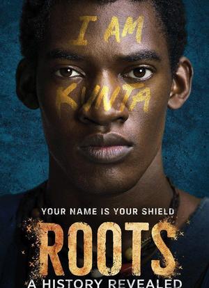ROOTS: A History Revealed海报封面图