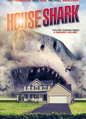 房子鲨鱼海报封面图