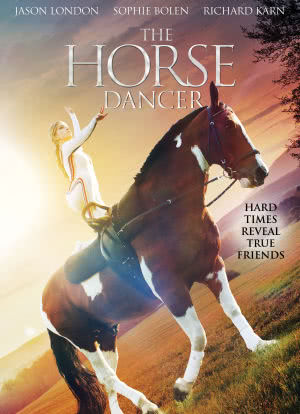 马背上的女孩海报封面图