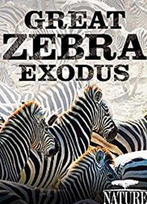 Great Zebra Exodus海报封面图