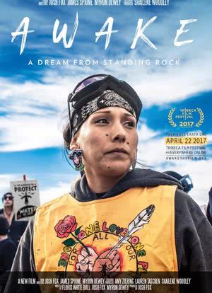 Awake, a Dream from Standing Rock海报封面图