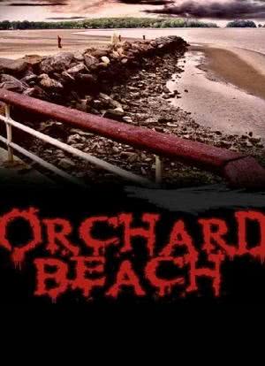 Orchard Beach海报封面图