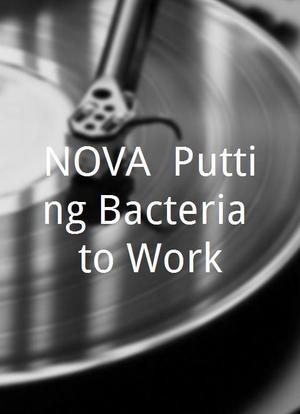 NOVA: Putting Bacteria to Work海报封面图