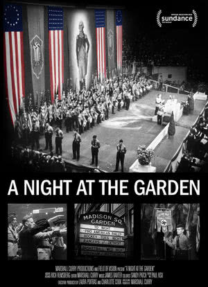 美国纳粹之夜海报封面图