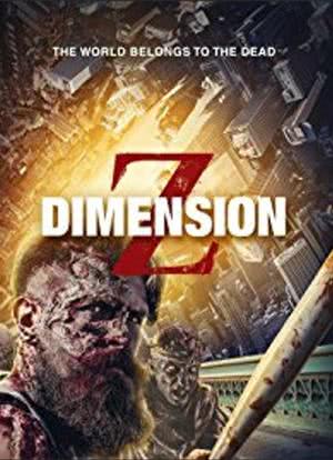 Dimension Z海报封面图