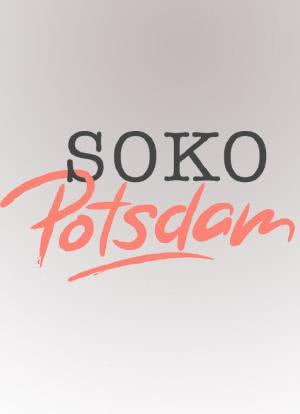 SOKO Potsdam海报封面图