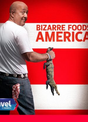 奇异美食:美国篇 第一季海报封面图