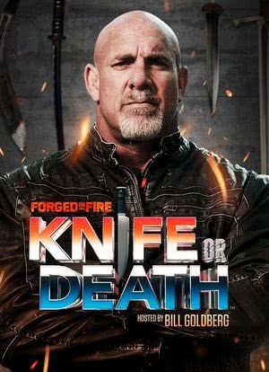 Forged In Fire: Knife Or Death海报封面图
