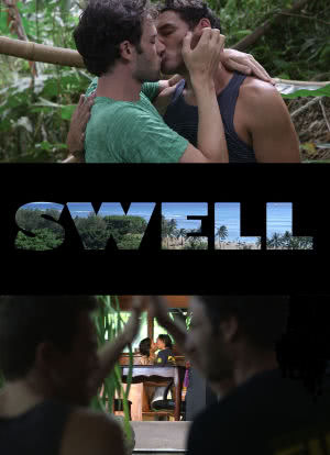 Swell Season 1海报封面图