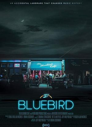 蓝鸟咖啡馆海报封面图