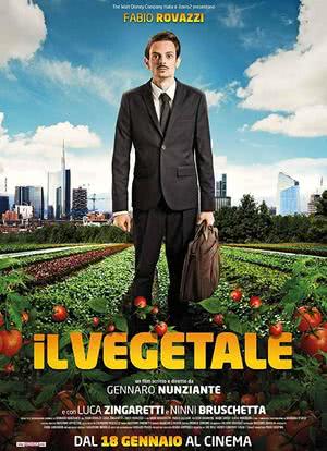 IL vegetale海报封面图