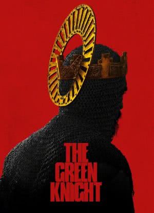 绿衣骑士海报封面图
