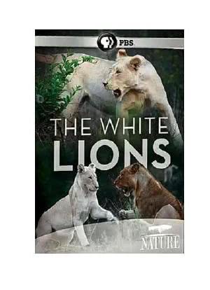 白狮海报封面图