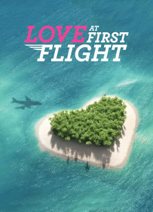 love at first flight海报封面图