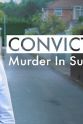 Nick Mattingly Conviction Murder In Suburbia