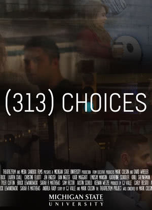 (313) Choices海报封面图