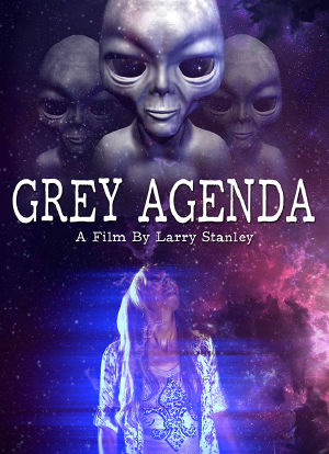 grey agenda海报封面图