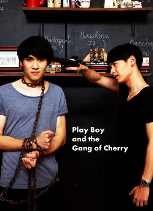 PlayBoy (and the Gang of Cherry)海报封面图