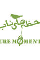 Sassan Bagherpour Pure moments (Lahzehay Naab)