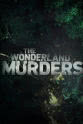 史蒂文·贝金厄姆 the wonderland murders