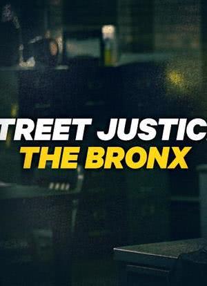 Street Justice The Bronx海报封面图