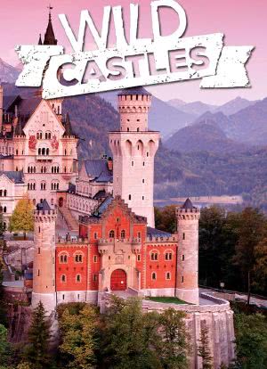 野性城堡 第一季海报封面图