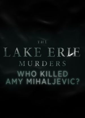 伊利湖谋杀案 第一季海报封面图