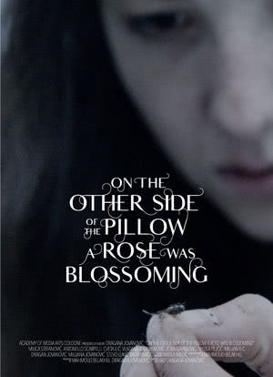 On the Other Side of the Pillow a Rose Was Blossoming海报封面图
