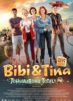Bibi & Tina: Tohuwabohu total海报封面图