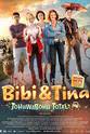 Fabian Buch Bibi & Tina: Tohuwabohu total