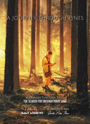 A Journey Through Pines海报封面图