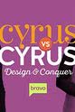 Brandi Cyrus Cyrus vs. Cyrus Design and Conquer