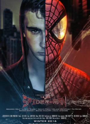 The Web of Spider-Man海报封面图
