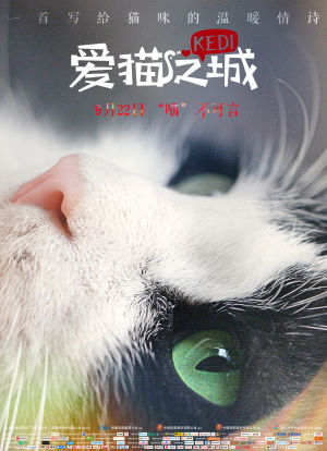爱猫之城海报封面图