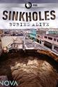 Larry Klein Sinkholes—Buried Alive